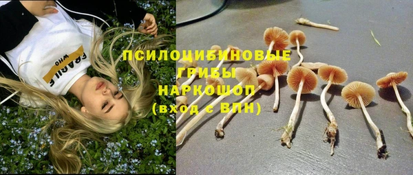 каннабис Баксан