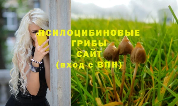 Альфа ПВП Балахна